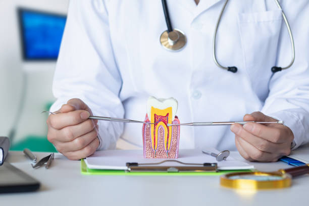 Best Knocked-Out Tooth (Avulsed Tooth) Treatment in Abingdon, IL
